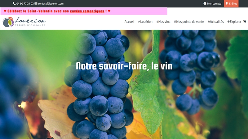 Refonte site internet de LOUERION - Une création AES Communication Refonte site internet de LOUERION - Une création AES Communication